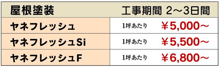 屋根塗装【工期：２～３日】 外壁と合わせてやるとさらにお得